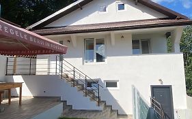 Casa Nicorad Apartamente
